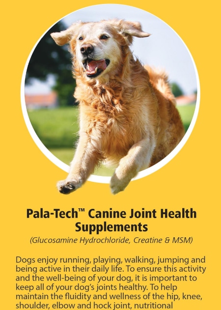 Canine Joint Health