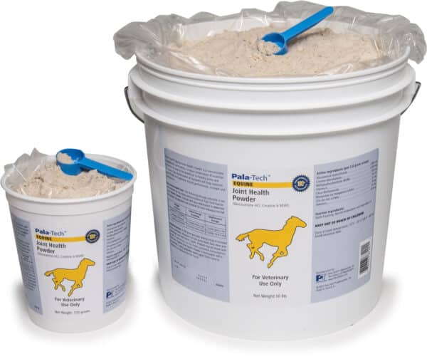 Equine Joint Health Powder