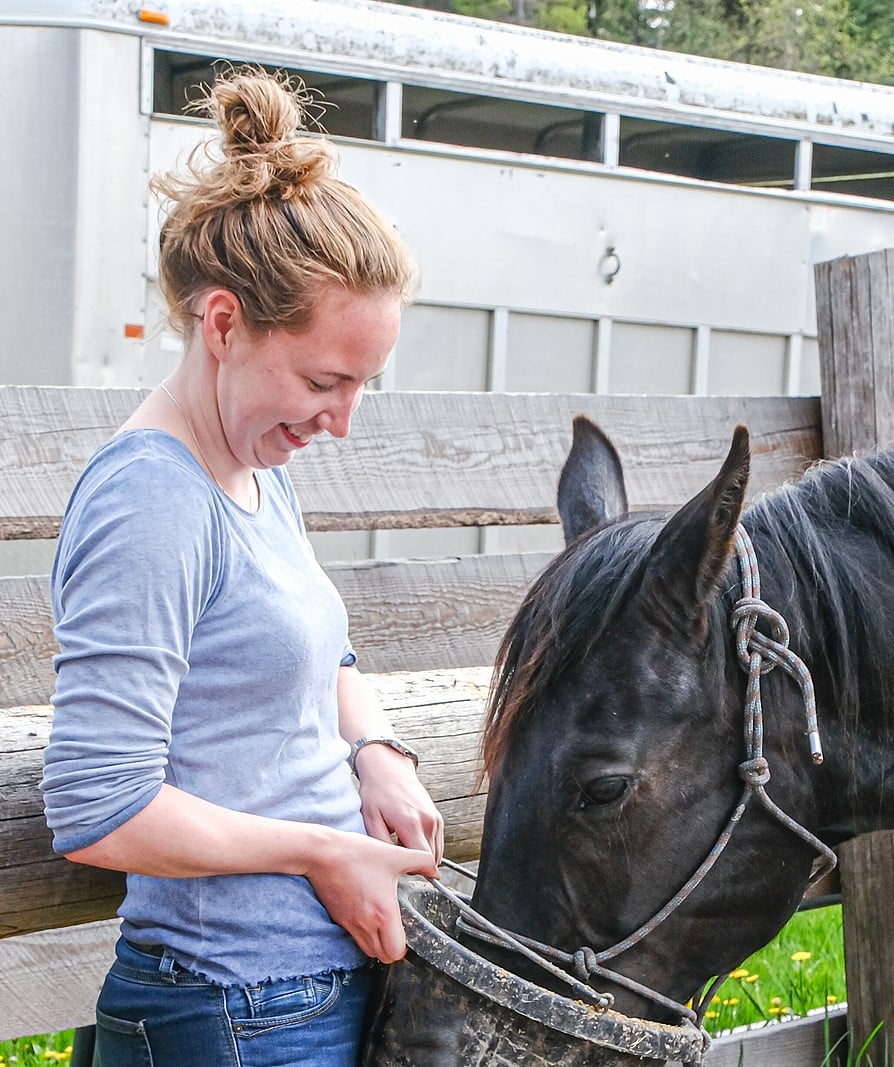 Horse Eating Outside Vertical