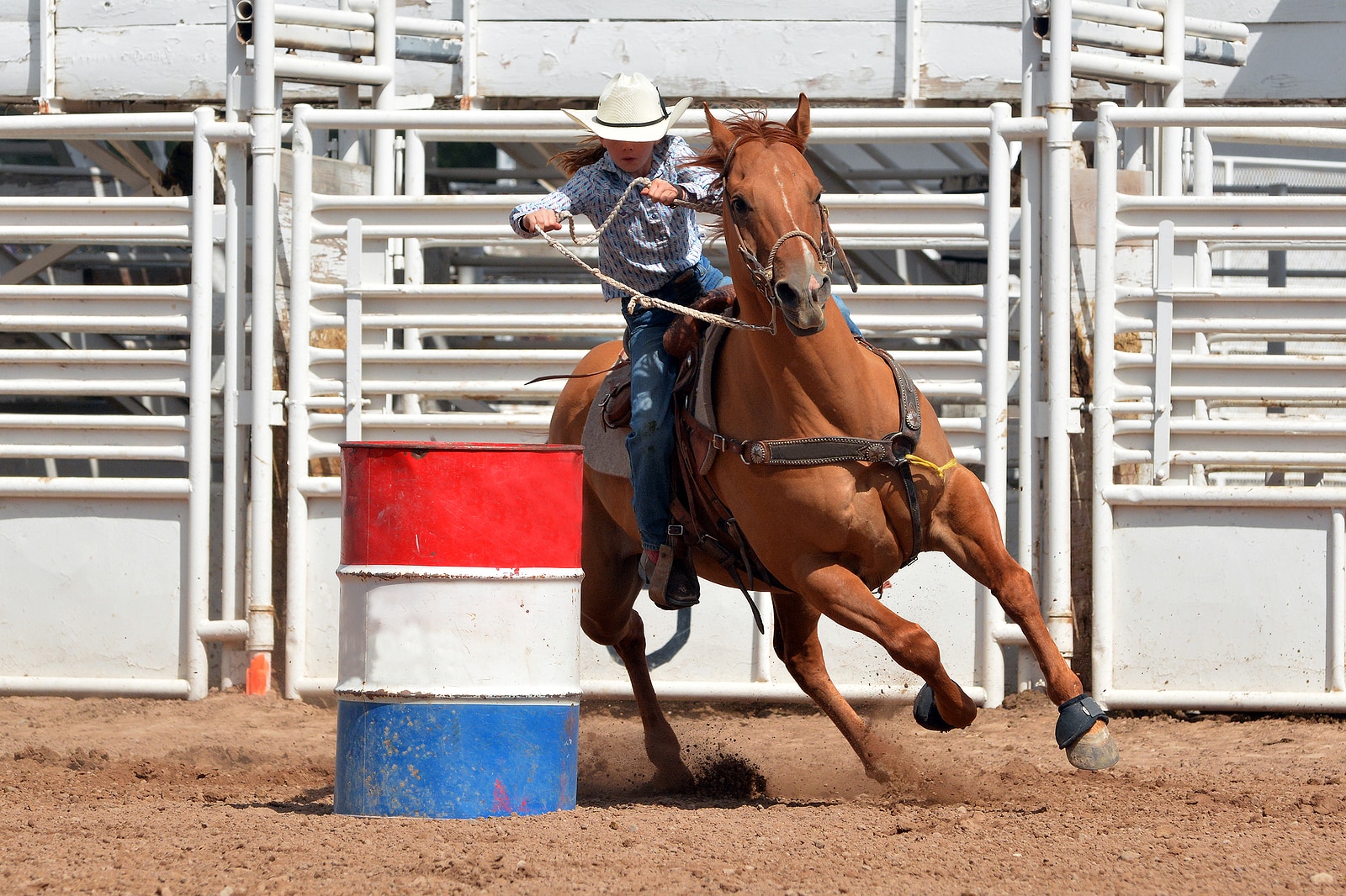 Horse barrel racer